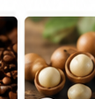 Macadamia nuts